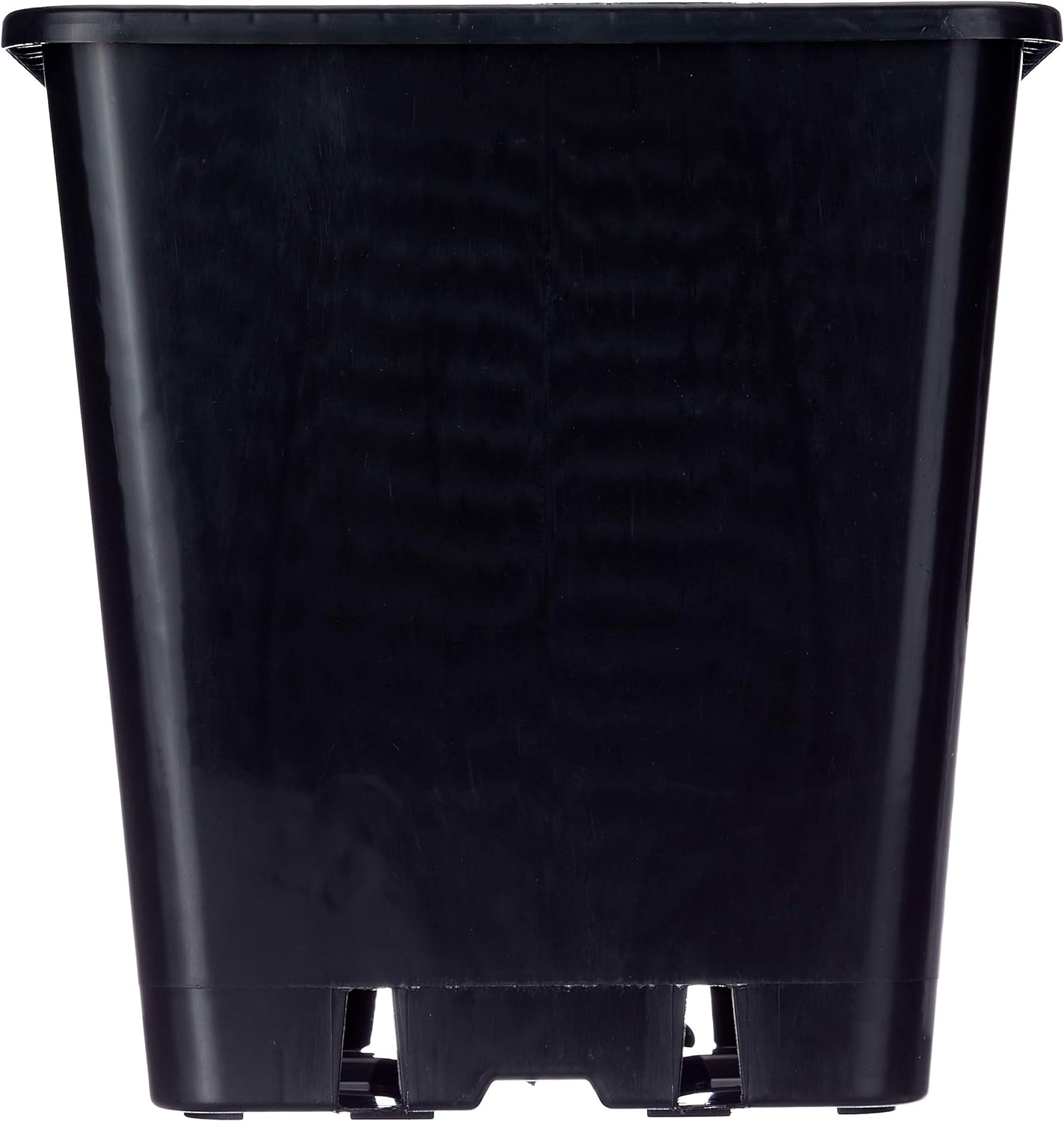 01-010-038 25 Cm 11 Litre Square Plastic Pot - Black