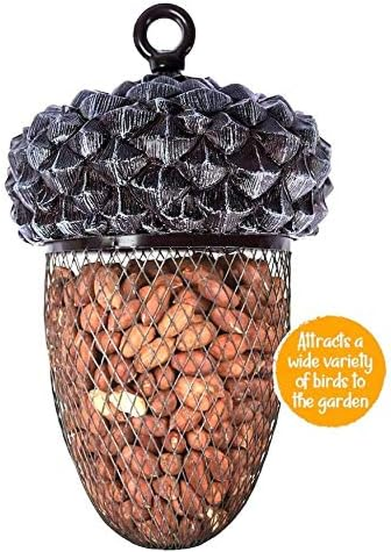 Acorn Bird Feeder - Outdoor Mounted Mixed Nuts Feeding Station for Wild